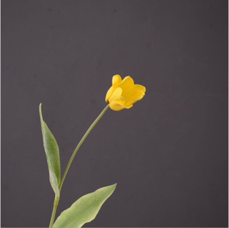仿真花郁金香厂家直销批发ins风家居装饰花插花摆件餐桌花