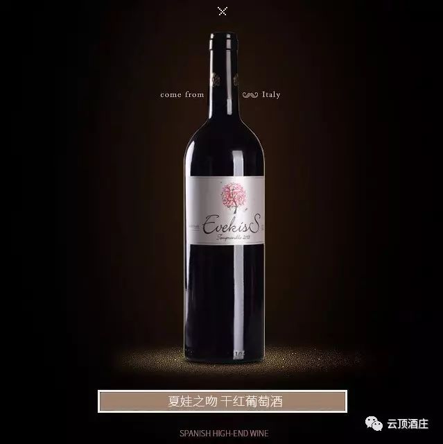 EVEKISS Dry Red wine from Spain details Picture