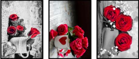 Celebrity painting 60X60X60cm rose design rimless decorative painting thumbnail