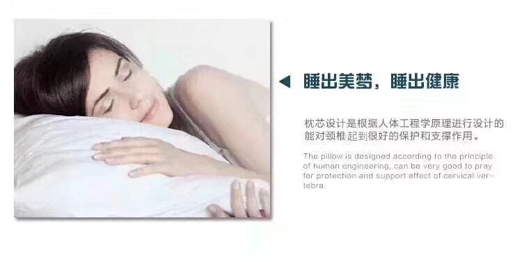 厂家直销新品抗菌防螨枕