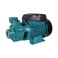 QB70 0.55kw 0.75hp domestic garden electric Clean water pump图