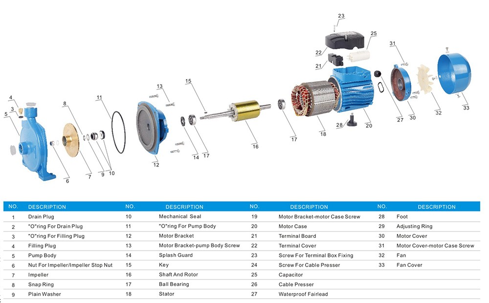 CPM158 Brass Impeller Clean Centrifugal Electric Water Pump详情3