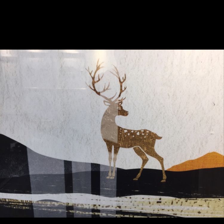 装饰画/画业/工艺画产品图