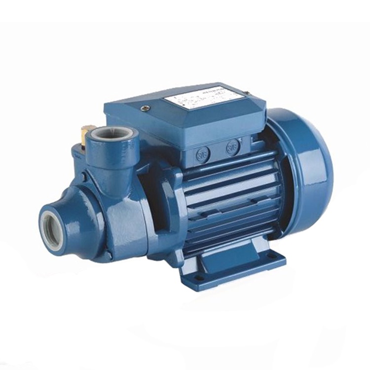 PM45 0.5hp pentax Electric Peripheral clean water pump