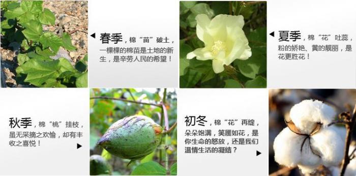 纯棉割绒柔软吸水素色毛巾 创意情侣面巾 商务回礼送礼赠品详情图16