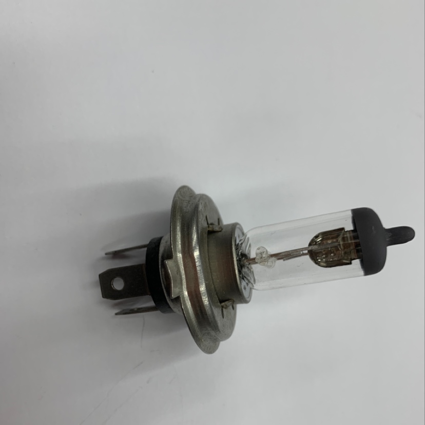 H4 bulb