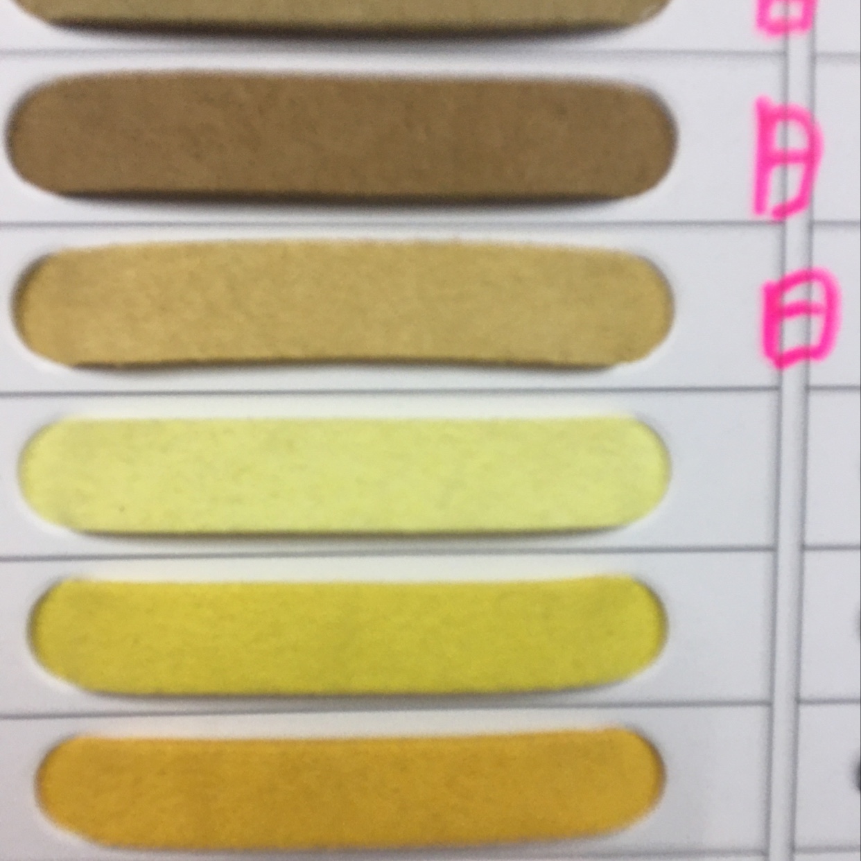 Super fine fiber, Korean velvet Application Scenario