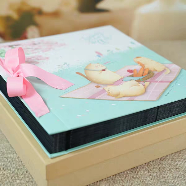 A 5678-inch, 640-page photo album with insert pages, a large family photo album for the baby's growth details Picture