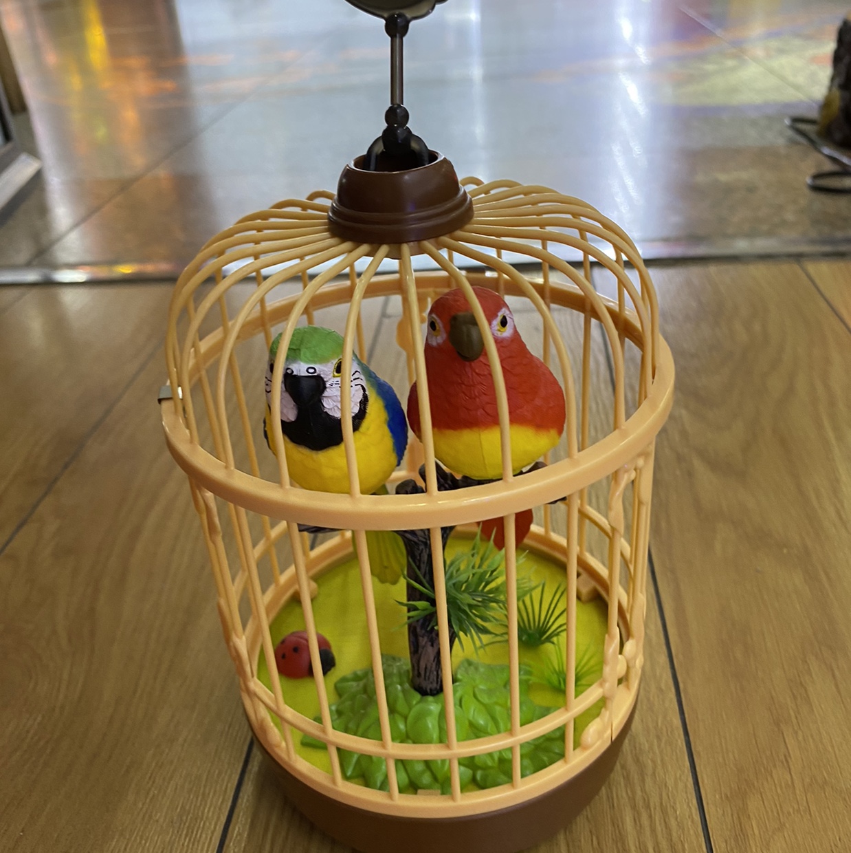Bird cage sound control thumbnail