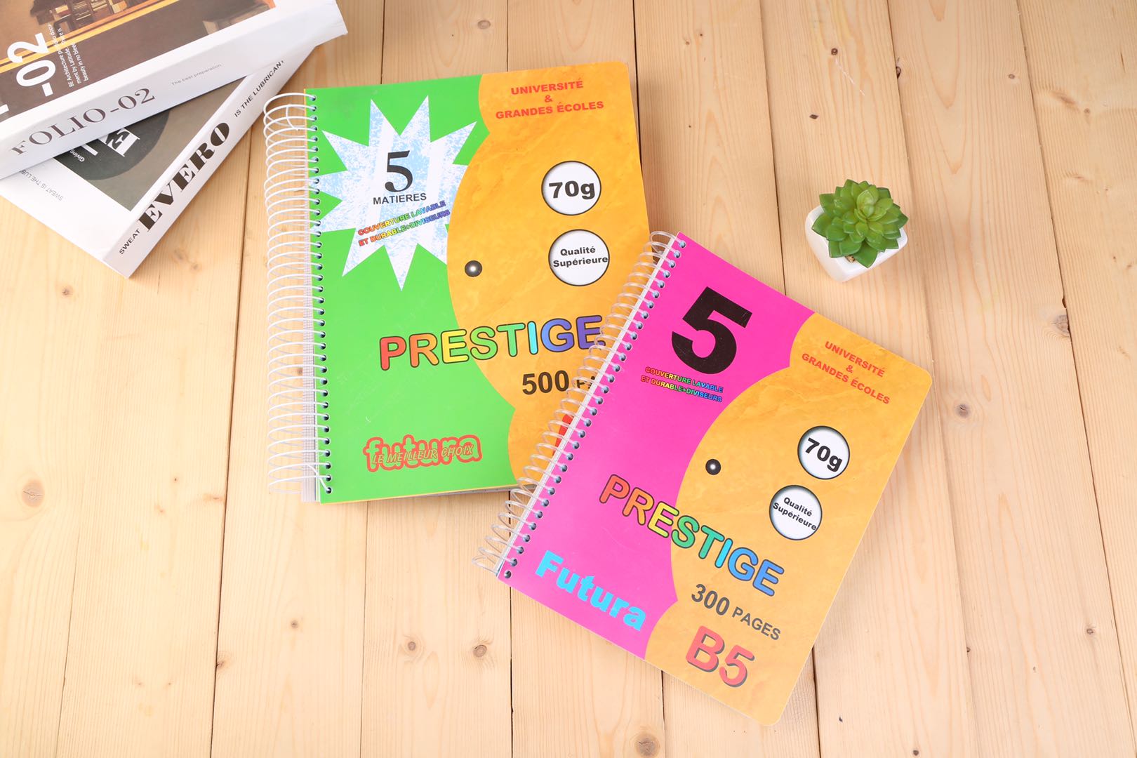 Pp Coil Color Cover A4 French Page Can Be Customized Book Africa Diary 500 Pages