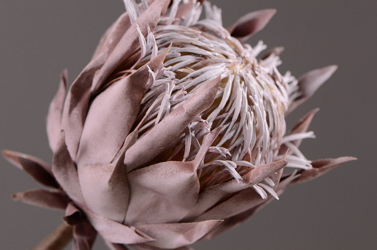 Lanjin Factory wholesals artificial flowers, dried artificial flowers, dried imperial flowers, garden vintage, living room dining table, model room decorative flowers, artificial flower ornaments detail image 9