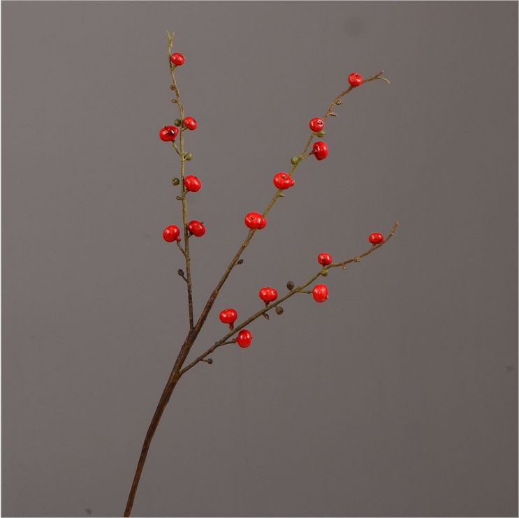 仿真玫瑰果 仿真植物果实浆果 美式装饰花艺插花配材 摄影道具