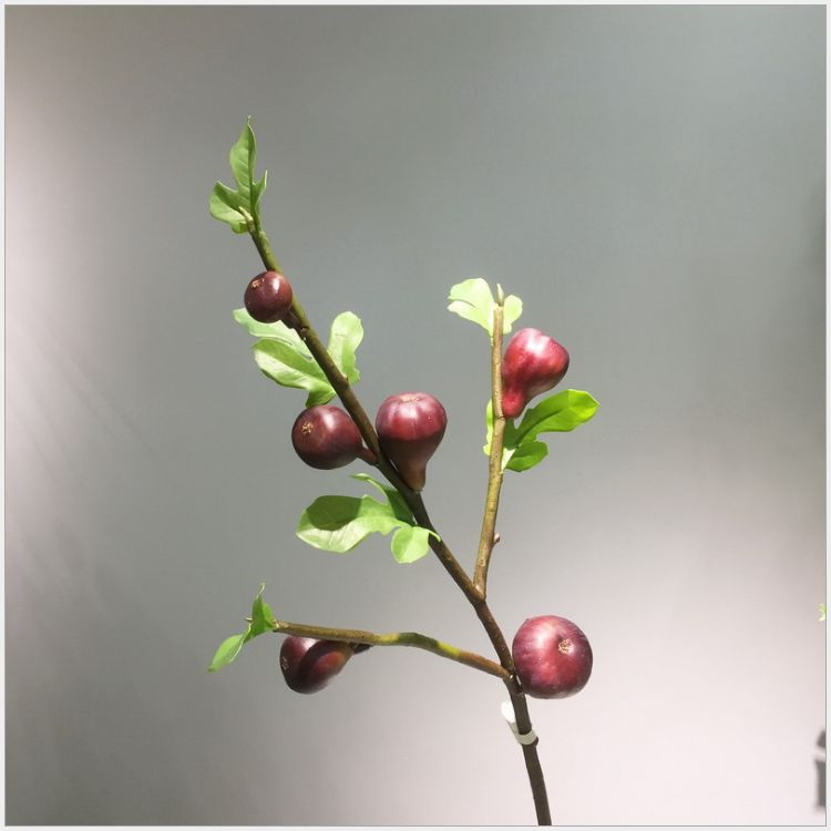 Firsthand source good goods factory direct selling living room porch table decoration simulation flower simulation berry with leaf figs