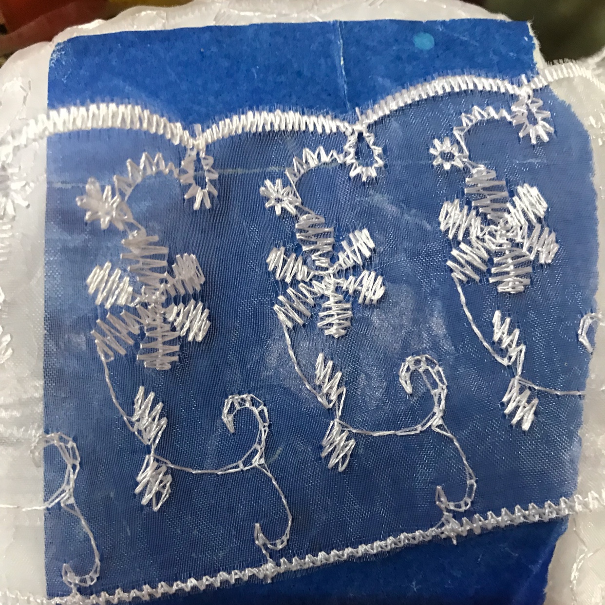 Embroidered lace details Picture