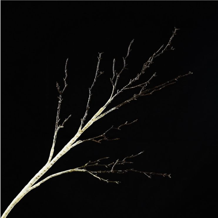 Simulation of dead branches birch branches Chinese decorative decorative furniture decoration hotel model between the floor ceramic vase floral art
