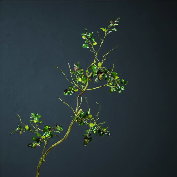 Simulation rattan rattan leaves false leaves rattan rattan plants indoor decoration large green wall green leaves