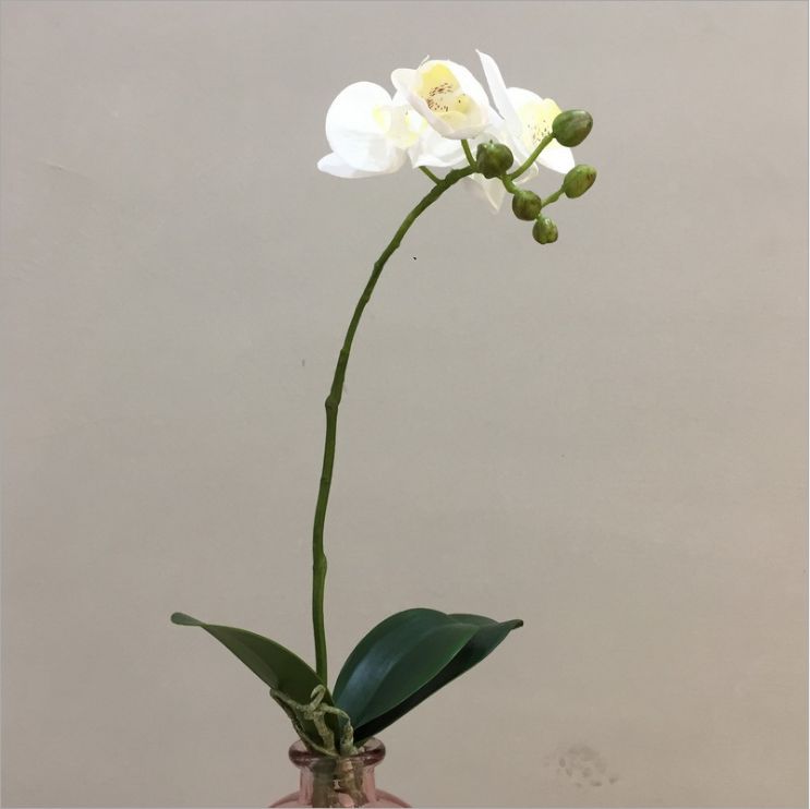 仿真花厂家直销假花批发 家居装饰花带蝴蝶兰叶4花仿真蝴蝶兰套装