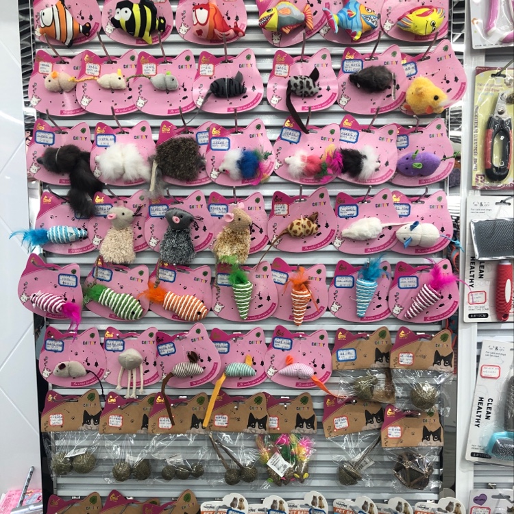 Kim Woo-mi describe pic - 1