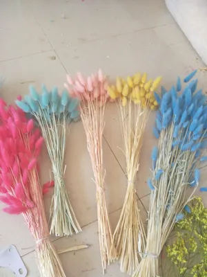 Dried rabbit tail grass flower, imitation flower wholesale decoration reed Christmas flower pine cone barley wheat oat cereal cereal grass twig cane thumbnail