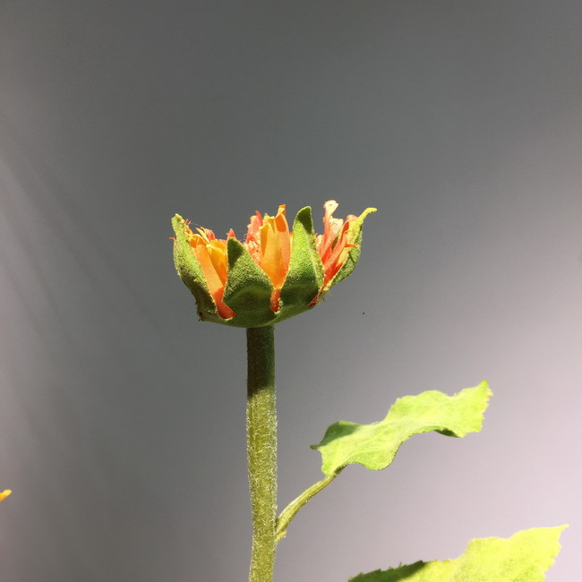 工厂直销室内家居装饰仿真花假花批发黄色1花1苞太阳花仿真向日葵详情图5