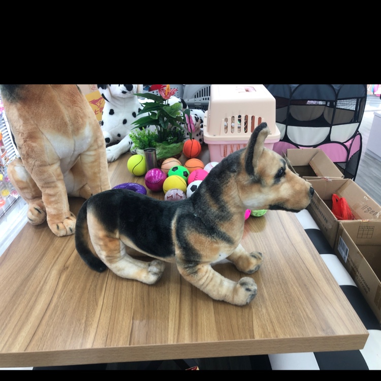 Kim Woo-mi describe pic - 2