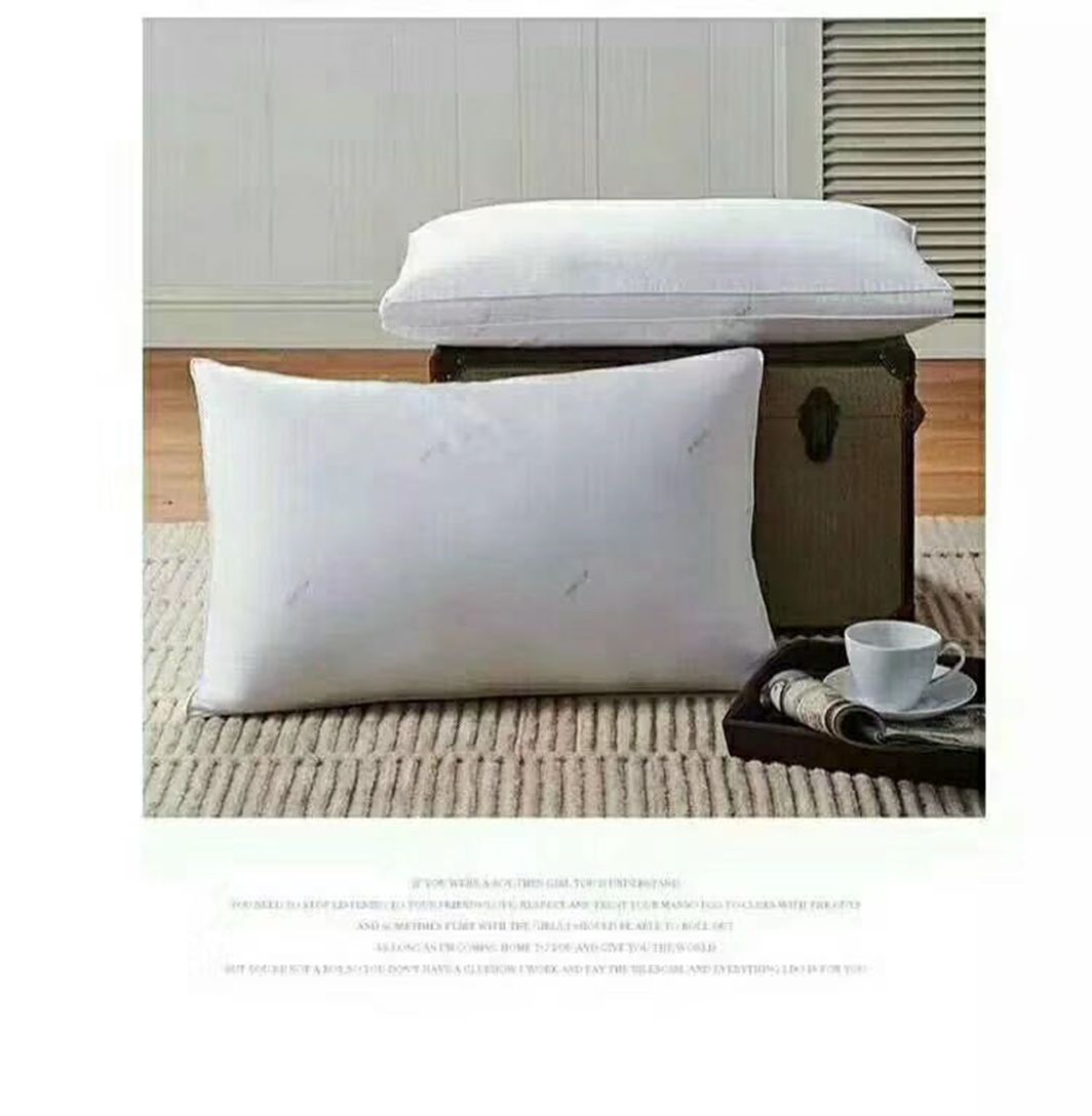 Premium antibacterial pillow