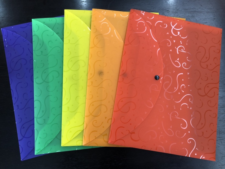 PP chrysanthemum pattern thickened iron buckle file bag, fashionable, colorful and of superior quality, FC details Picture