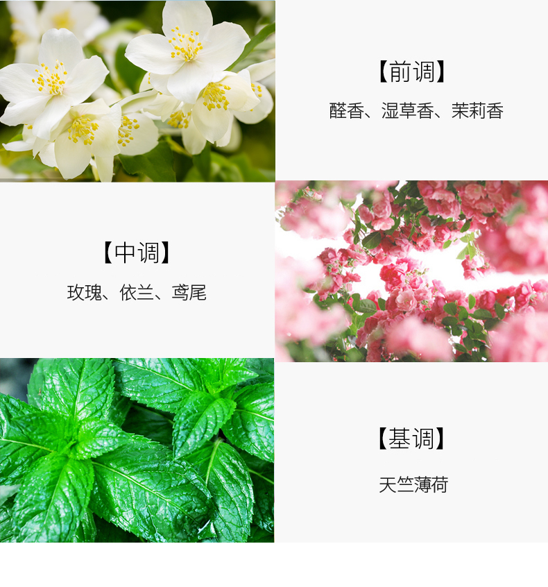 Factory direct sales, foreign trade style men's and women's perfumes detail image 4