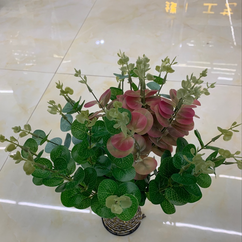 5头金钱叶丝印3D