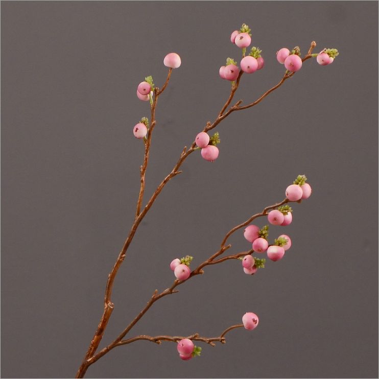 Wholesale of artificial ginkgo nuts, artificial flowers, home decorations, living room and dining room flower arrangements, floral art, artificial berries and fruits details Picture