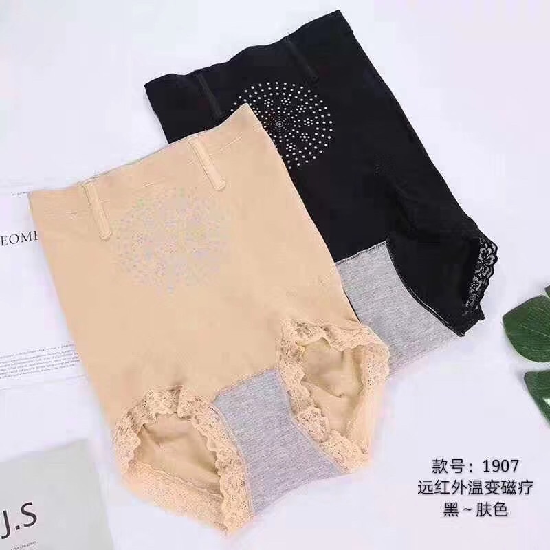 凤尾产品图