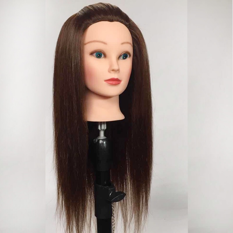 Learning to Cut Hair from Scrap: Why You Need a Professional Teaching Head Model
