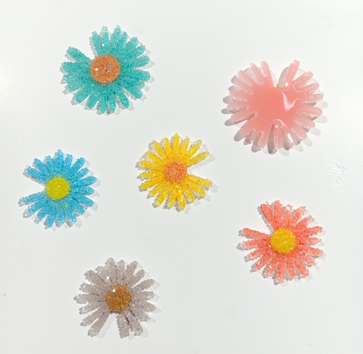 Big multicolored Daisy thumbnail