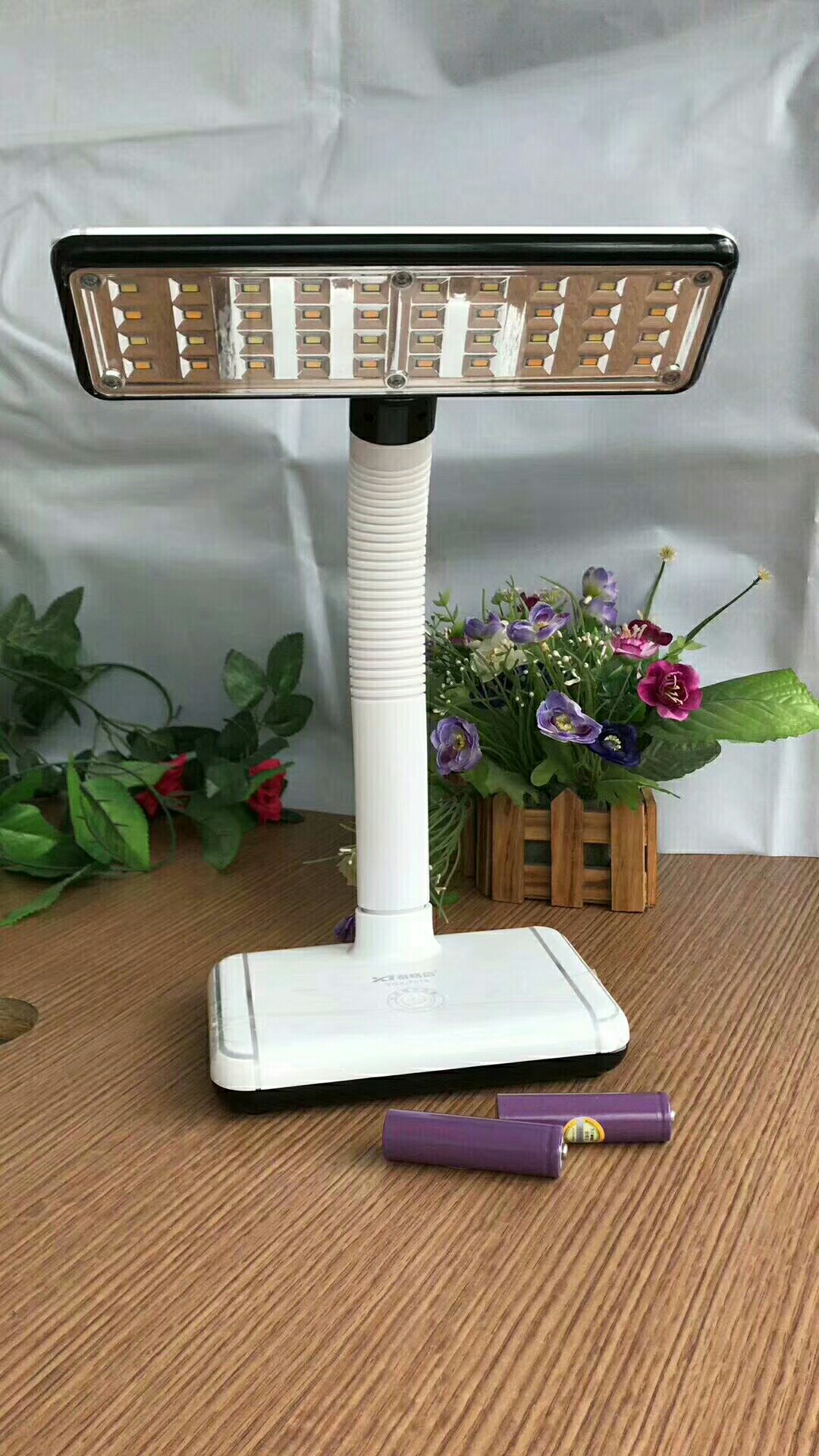 Taixin LED charging DC dual-purpose desk Lamp TGⅩ -750 Item Picture