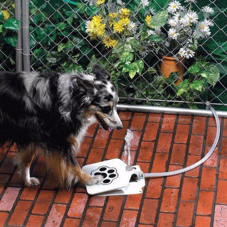 Novelty pet products pet automatic water fountain dog treadle water machine dog dog water feeder full figure