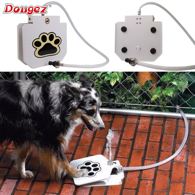 Novelty pet products pet automatic water fountain dog treadle water machine dog dog water feeder details Picture