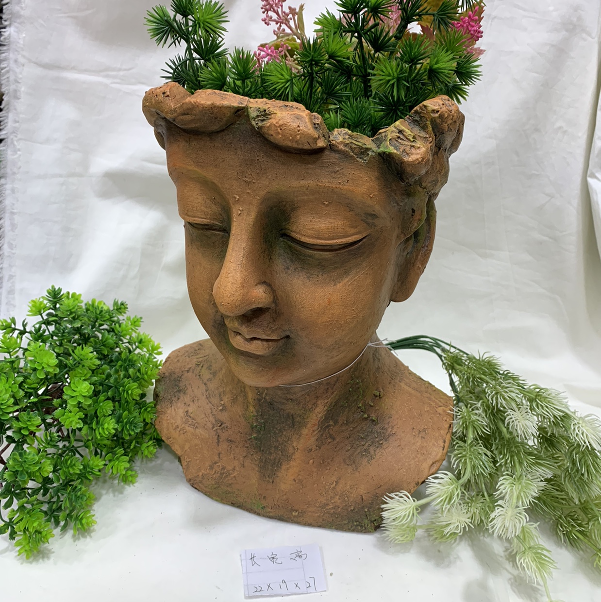 Magnesia head plant flowers and plants meaty decorations thumbnail