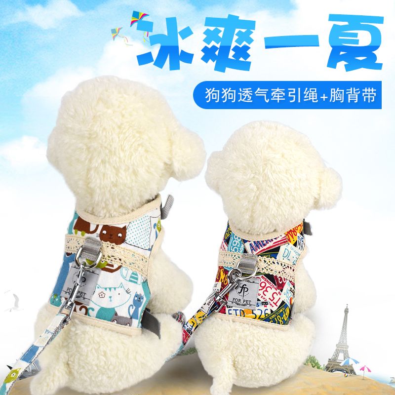 宠物用品 猫咪狗狗专用防挣脱背心式遛猫绳 波西米亚胸背带牵引绳