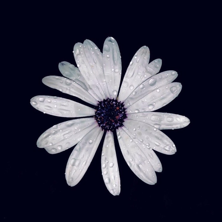 Water Soluble Lace Bar Code Custom details Picture