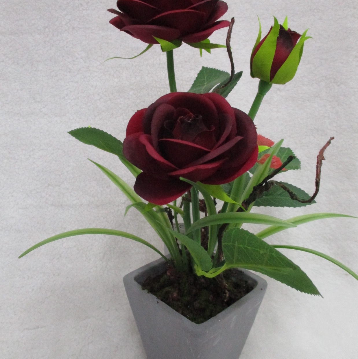 Potted 3 roses thumbnail