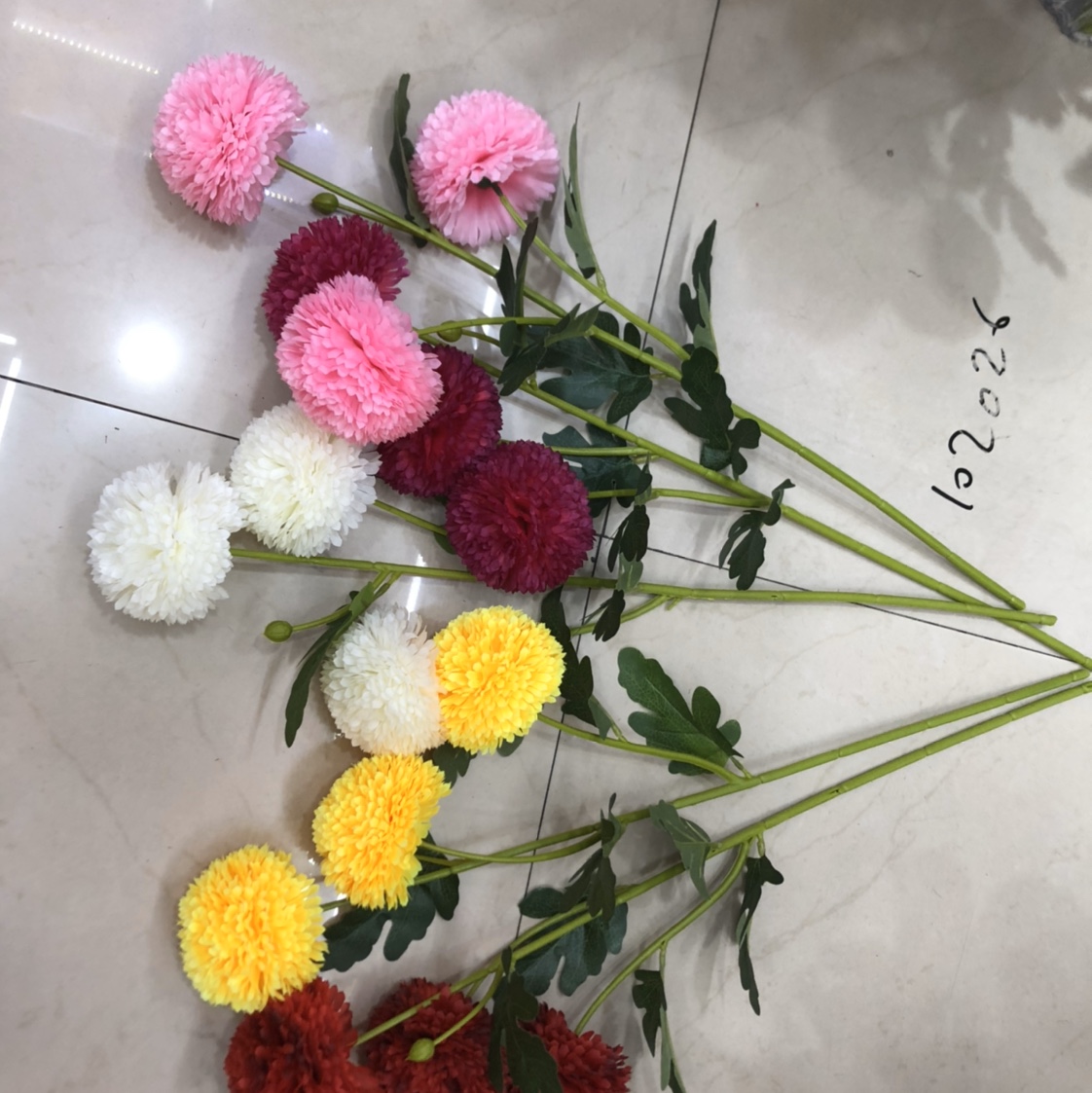 Three giant bulbous chrysanthemums thumbnail