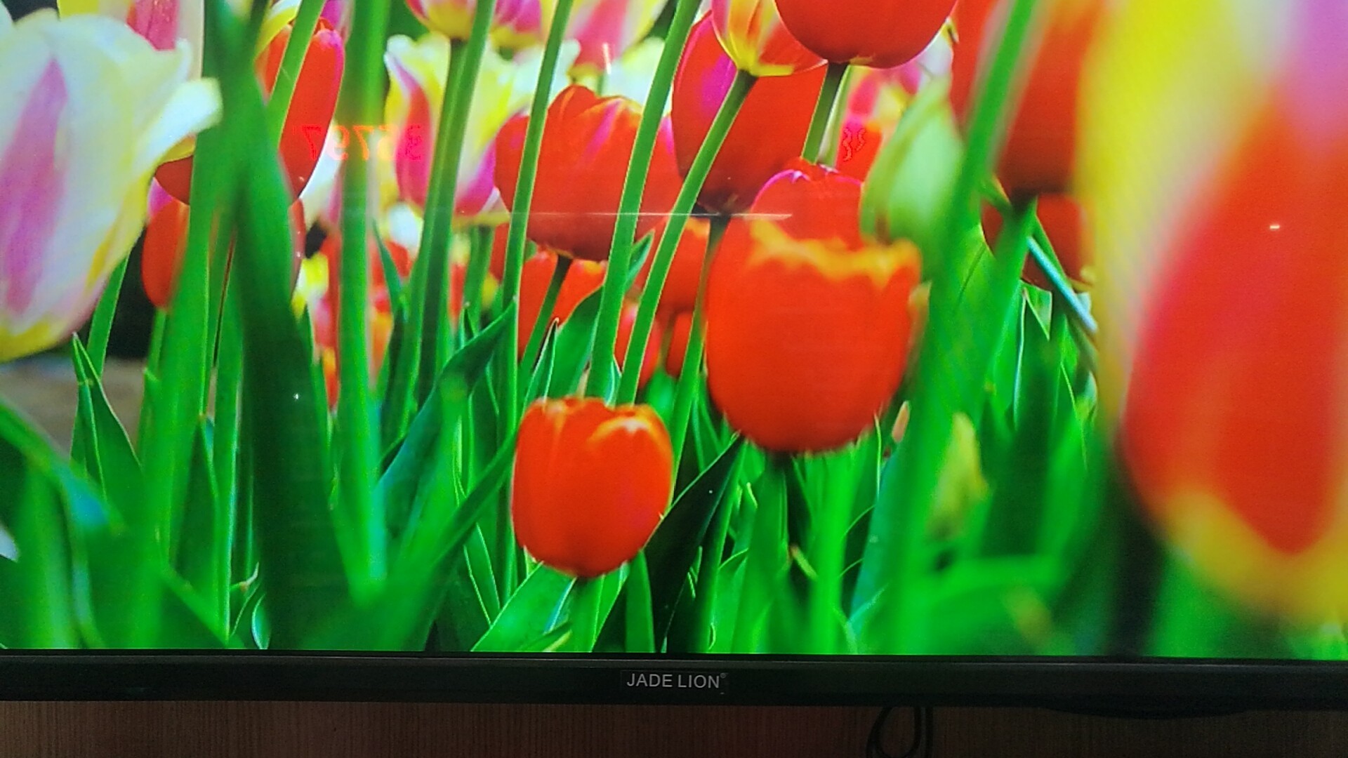 电视机LED产品图