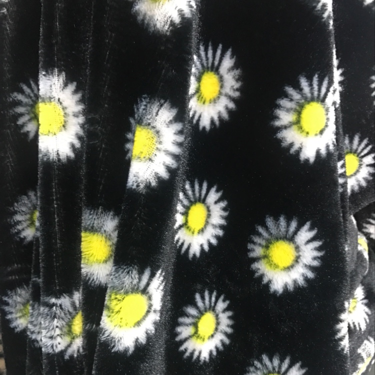 Small Chrysanthemum Pv Velvet
