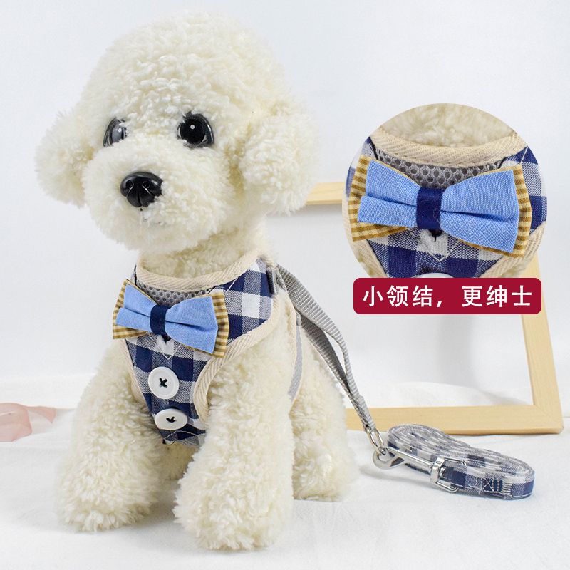 Explosive mesh cloth breathable pet chest strap dog vest leash gentleman button dog leash wholesale details Picture