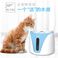 猫咪电动过滤饮水机宠物饮水器猫喝水器自动循环狗狗喂水器饮水碗图