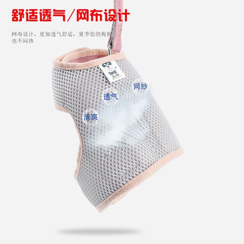 宠物挂牌/挂饰实物图
