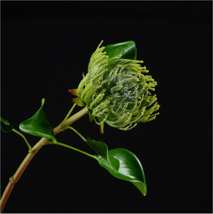 Lanjin Factory wholesales high-end artificial flowers, including South African emperor flowers, needle cushion flowers, floral arrangements, main flowers, large-scale floral accessories, and plastic flowers details Picture