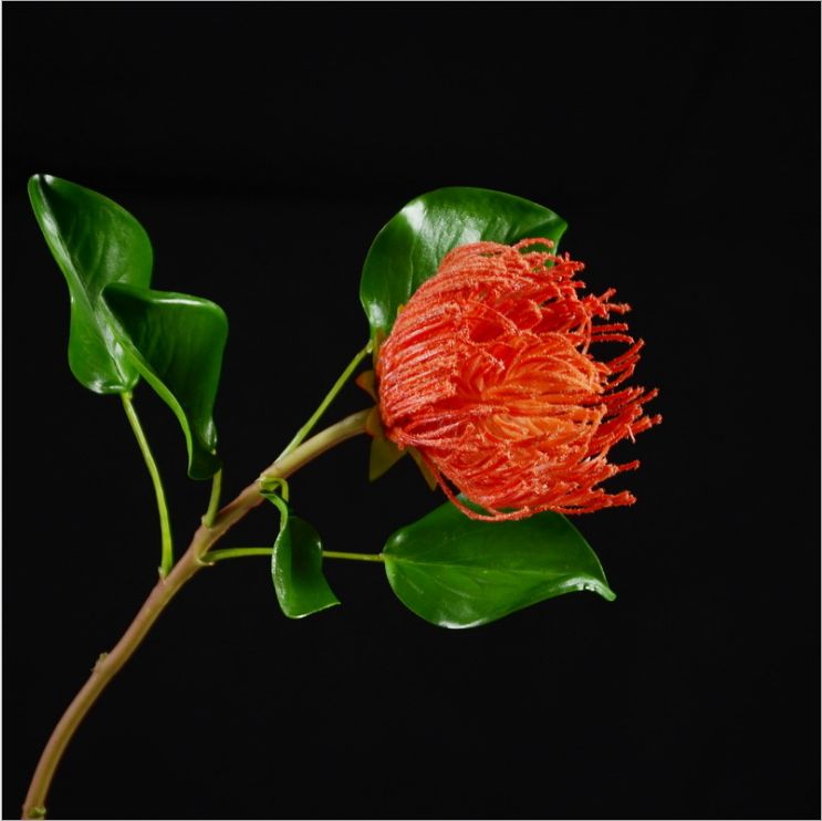 Lanjin Factory wholesales high-end artificial flowers, including South African emperor flowers, needle cushion flowers, floral arrangements, main flowers, large-scale floral accessories, and plastic flowers