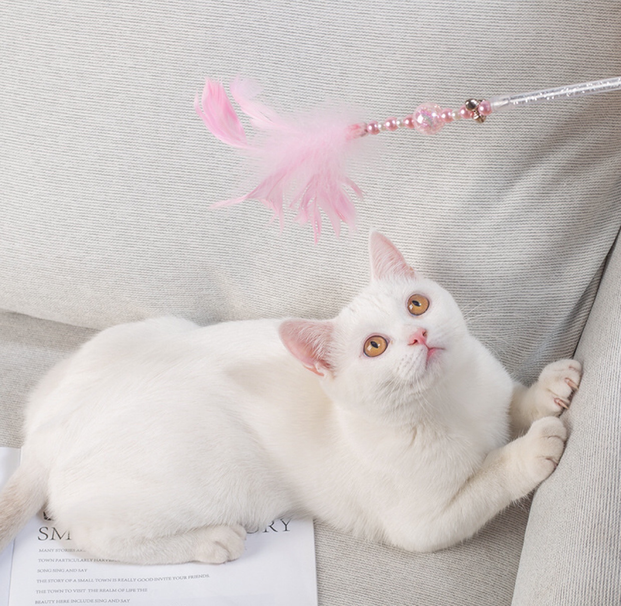 New interactive cat toy bead string feather with bell cat toy cuddle cat supplies Application Scenario