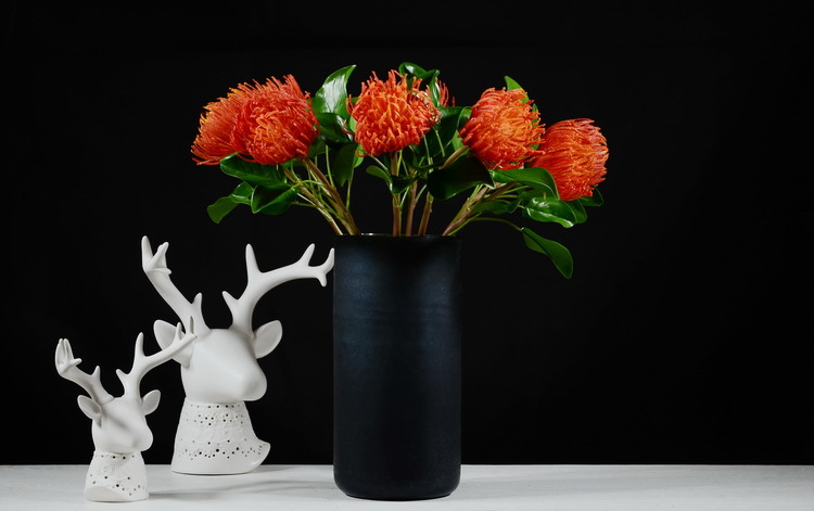 Lanjin Factory wholesales high-end artificial flowers, including South African emperor flowers, needle cushion flowers, floral arrangements, main flowers, large-scale floral accessories, and plastic flowers detail image 13